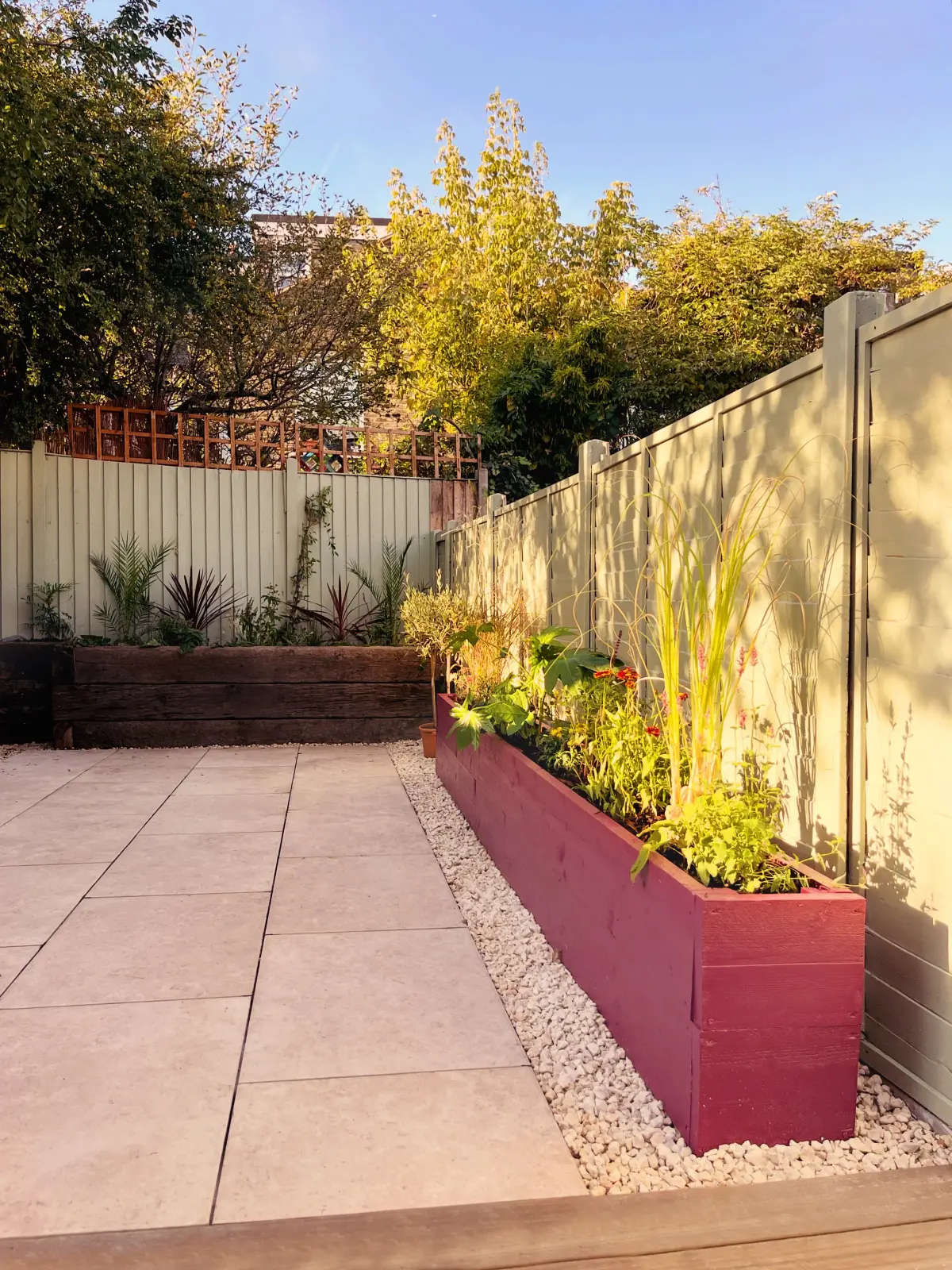 Bespoke plum-coloured planters with tall grasses and fatsia japonica